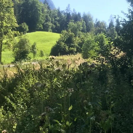 Hopfgut Ist Bis Auf Weiteres Zu Privat bolig