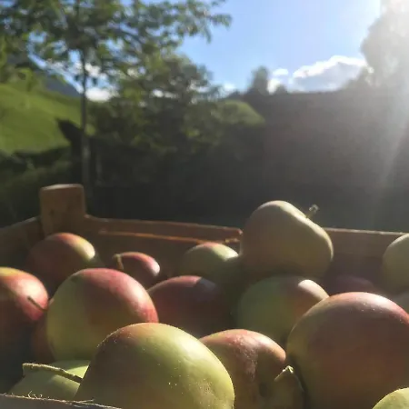 Privat bolig Hopfgut Ist Bis Auf Weiteres Zu