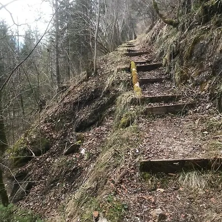 Hopfgut Ist Bis Auf Weiteres Zu Schneizlreuth